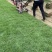 各种草皮、台湾草，兰引三号、高尔夫草皮、大叶草、基地直销