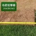 各种草皮、台湾草，兰引三号、高尔夫草皮、大叶草、基地直销