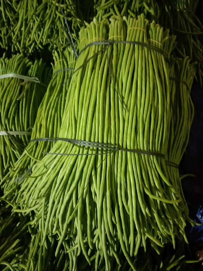 【热销】广东徐闻精品长豆角，产地直发，全国供应，精选好货