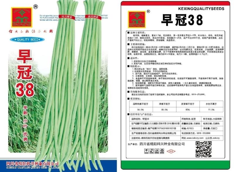 【包邮】早熟小叶长豇豆种子淡绿色豇豆种子商品性佳