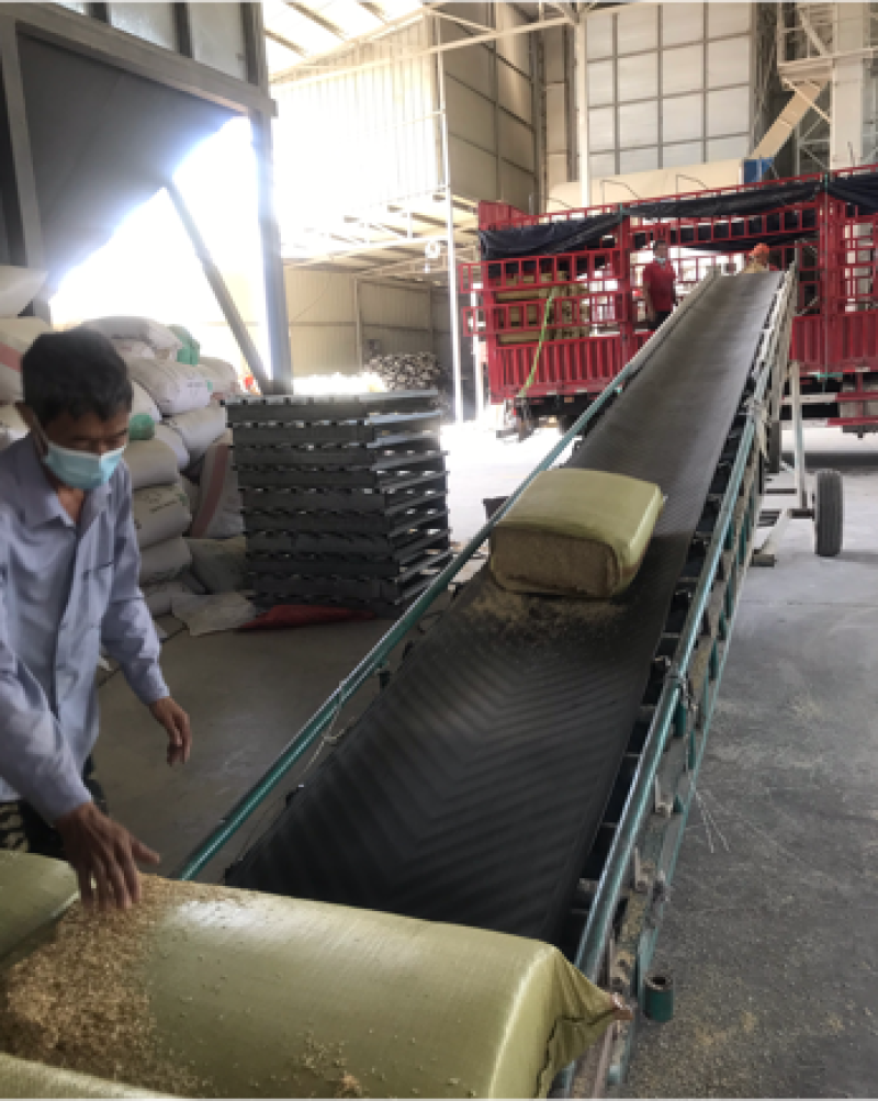米厂直供大量打包稻壳压缩稻壳谷壳除尘过筛稻壳
