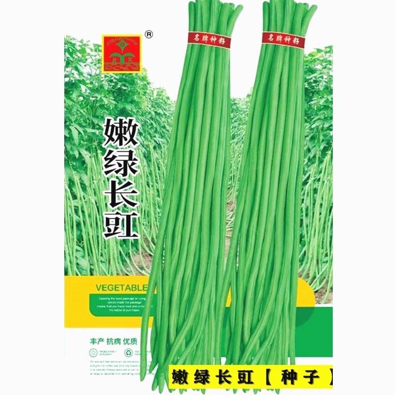 【热销推荐】嫩绿长豇豇豆种子长豆角种籽翠绿青条江豆爬藤