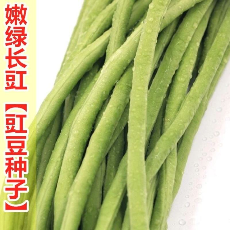 【热销推荐】嫩绿长豇豇豆种子长豆角种籽翠绿青条江豆爬藤