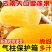 【热销】雪莲果云南天山现挖雪莲果新鲜黄心水果一件代发包邮