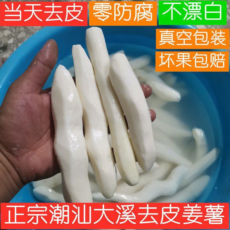 大溪新鲜姜薯潮汕特产姜茨薯现挖农家自种作甜品清爽滑口包邮