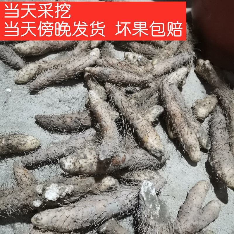 大溪新鲜姜薯潮汕特产姜茨薯现挖农家自种作甜品清爽滑口包邮