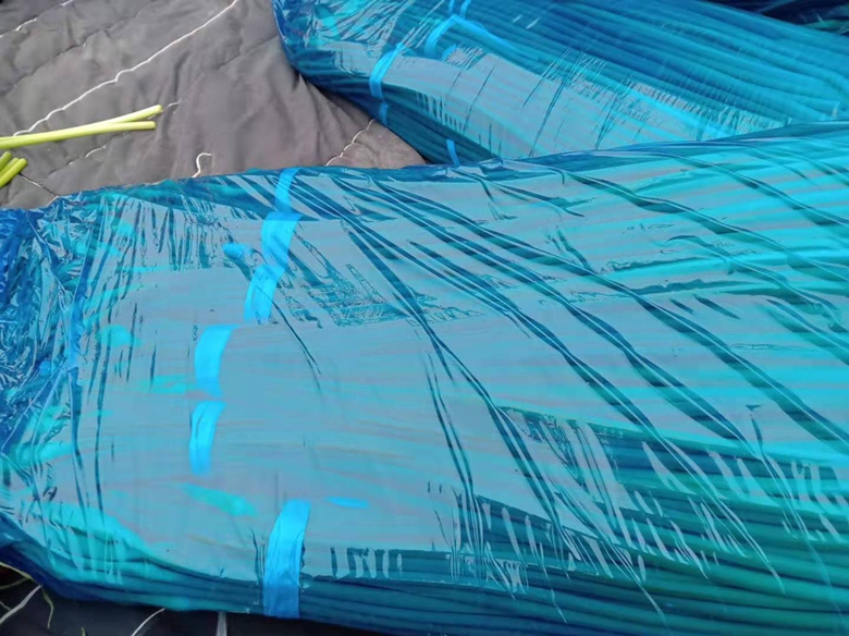 白帽蒜薹田间采收实景：农户手持特制剪刀在清晨露水未消时剪取蒜薹，茎秆上可见完整白帽，背景为苍山连片蒜田，土壤呈深褐色富含有机质