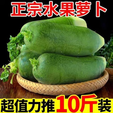 【一件代发】现拔新鲜水果萝卜脆甜萝卜新鲜蔬菜萝卜超值包邮
