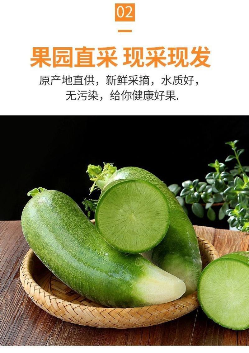 【一件代发】现拔新鲜水果萝卜脆甜萝卜新鲜蔬菜萝卜超值包邮