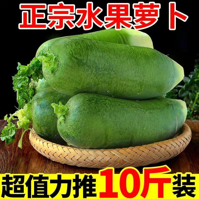 【一件代发】现拔新鲜水果萝卜脆甜萝卜新鲜蔬菜萝卜超值包邮