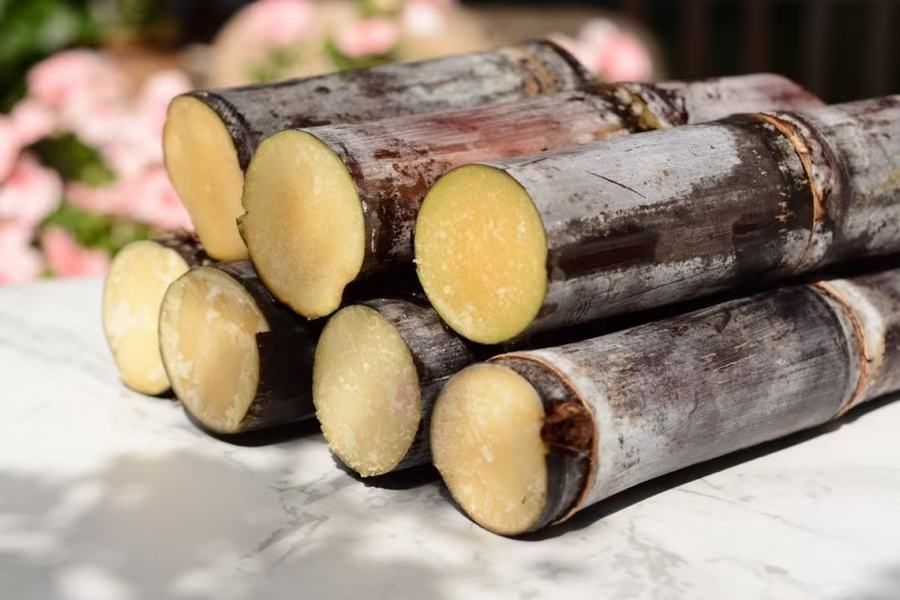 黑皮甘蔗与青皮甘蔗外观对比