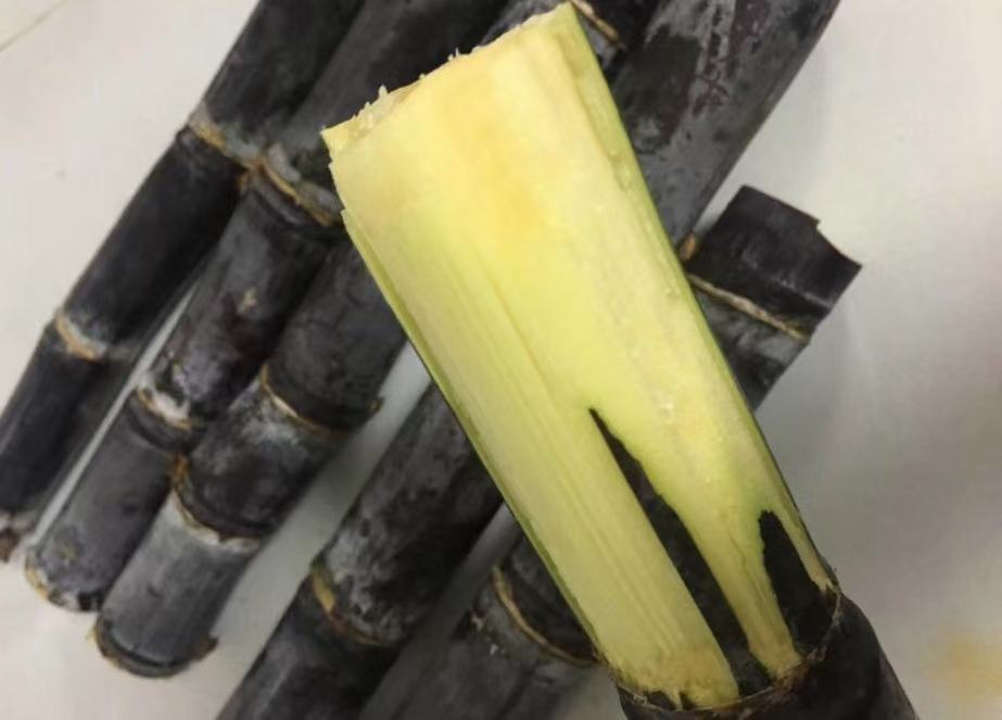 一杯刚煮好的黑甘蔗水,颜色呈淡褐色,杯口热气袅袅 黑甘蔗水成品图