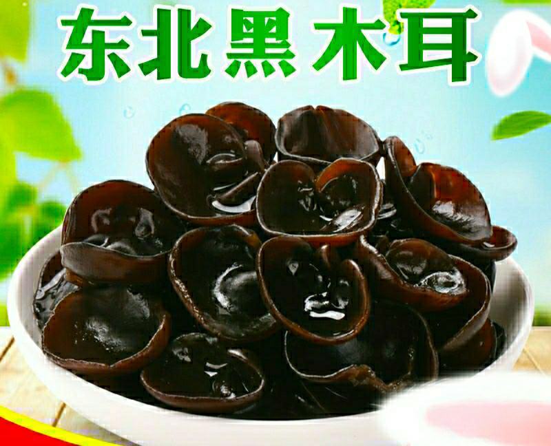 东北黑木耳椴木小碗耳肉厚无根营养美味干货包邮