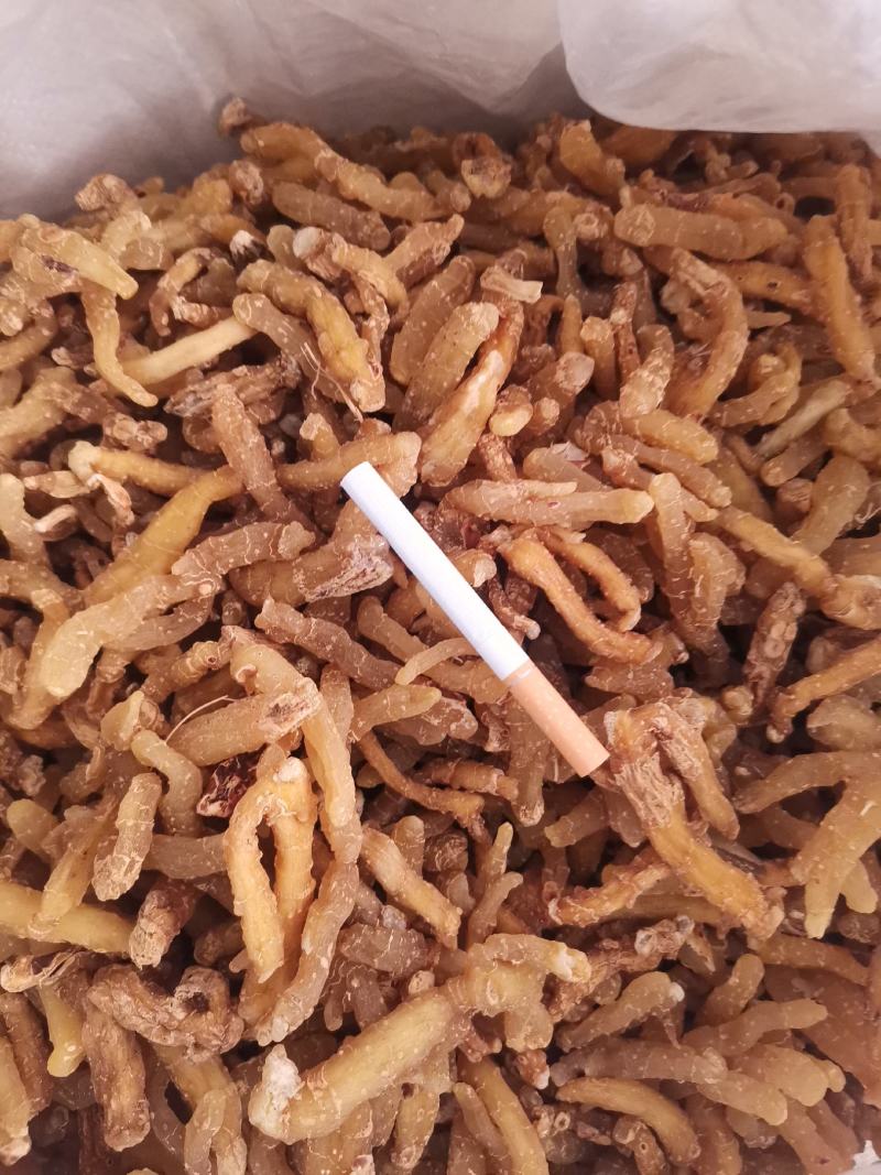 优质湖南湘玉竹熟条产地直销量大从优
