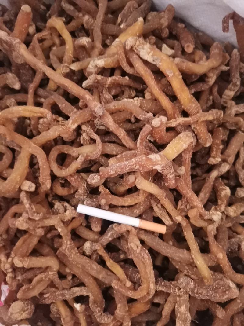 优质湖南湘玉竹熟条产地直销量大从优