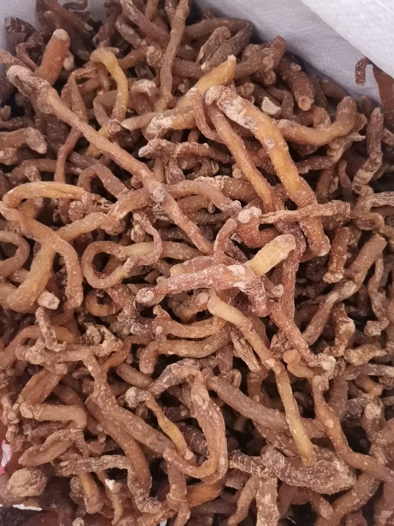 优质湖南湘玉竹熟条产地直销量大从优