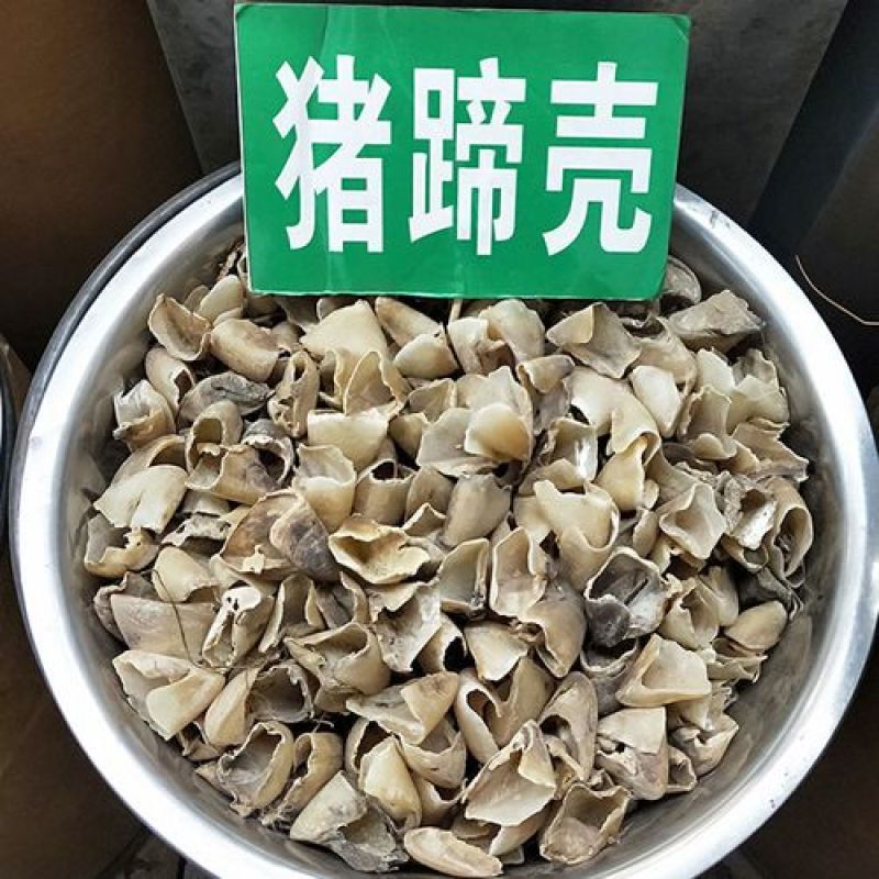 中药材生猪蹄甲炒猪甲炒猪蹄甲猪脚指甲炙猪蹄甲