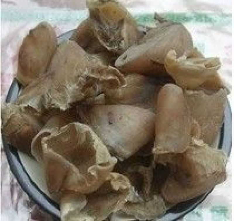 中药材生猪蹄甲炒猪甲炒猪蹄甲猪脚指甲炙猪蹄甲