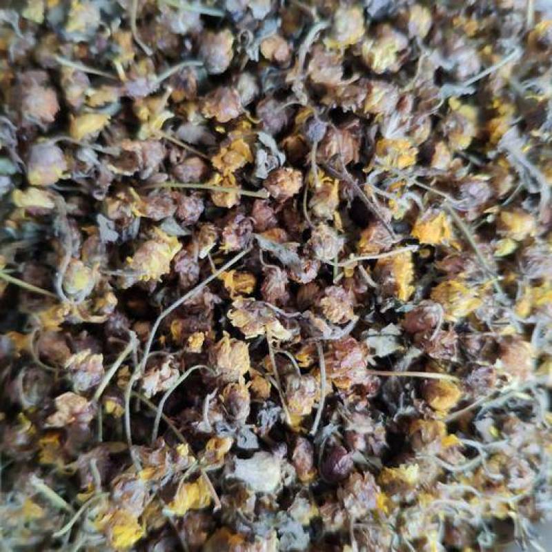 湖北孝感刚上市的野生菊花10吨干货，有需要的电话联系