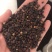 梨树种子苹果种子杜梨种子嫁接果树粘木种子