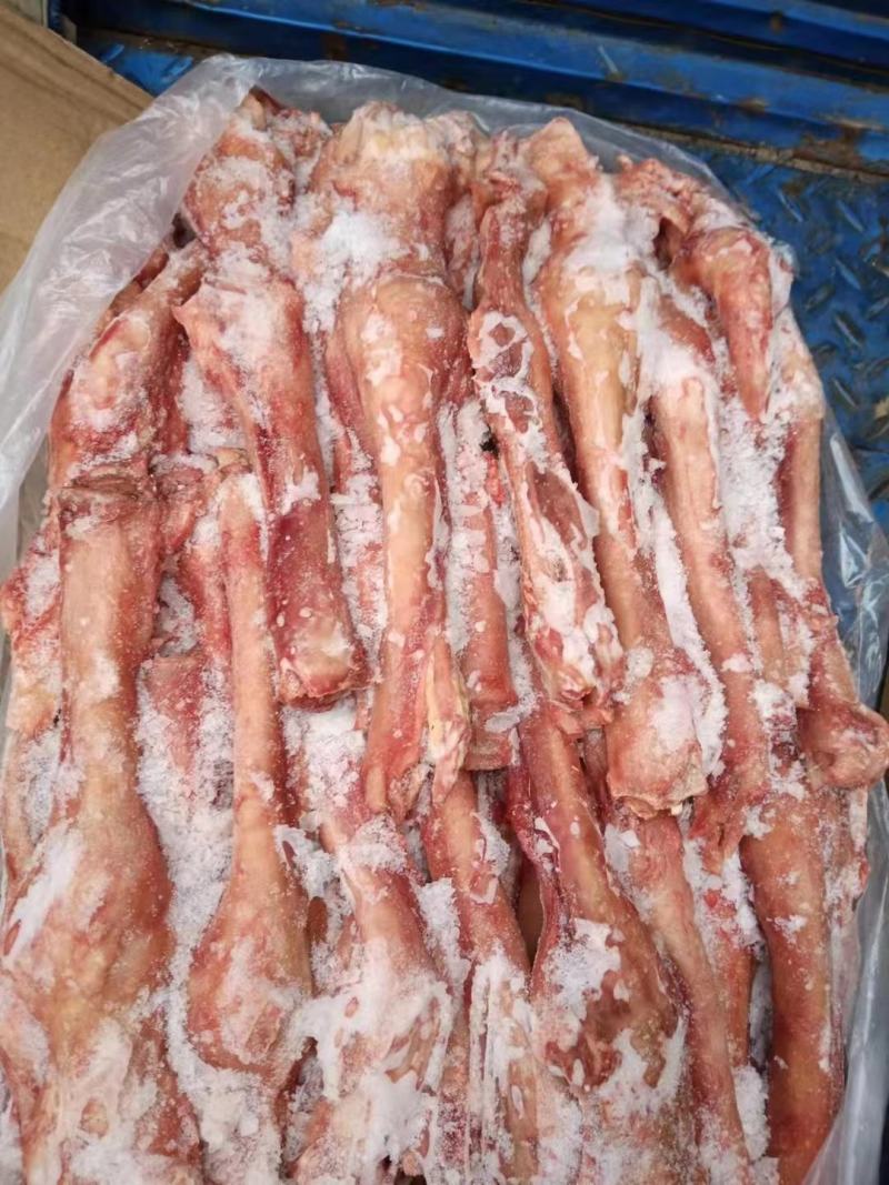 驴蹄筋马蹄筋精品驴蹄筋纯主筋颜色鲜质量好出肉率高