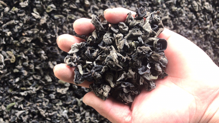 新鲜黑木耳与干木耳对比图