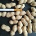 大量出售花育精选果，手选果，食品用果，量大从优，来电优惠