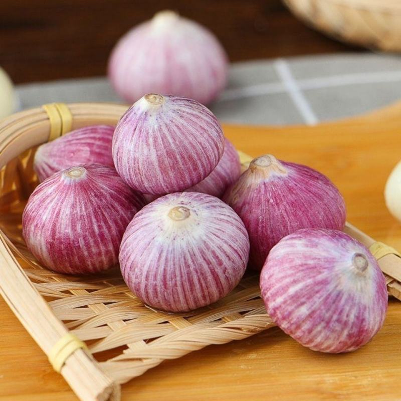 甘肃民乐2021现挖新鲜高蒜素紫皮蒜独头大蒜黑蒜糖蒜腊八