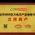 河南省农科院脱毒红薯苗，西瓜红薯苗龙薯九号红薯苗