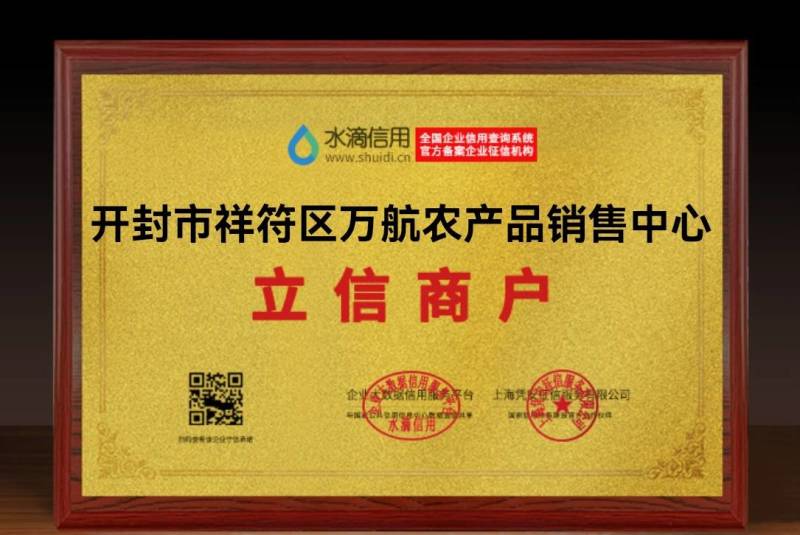 河南省农科院脱毒红薯苗，西瓜红薯苗龙薯九号红薯苗