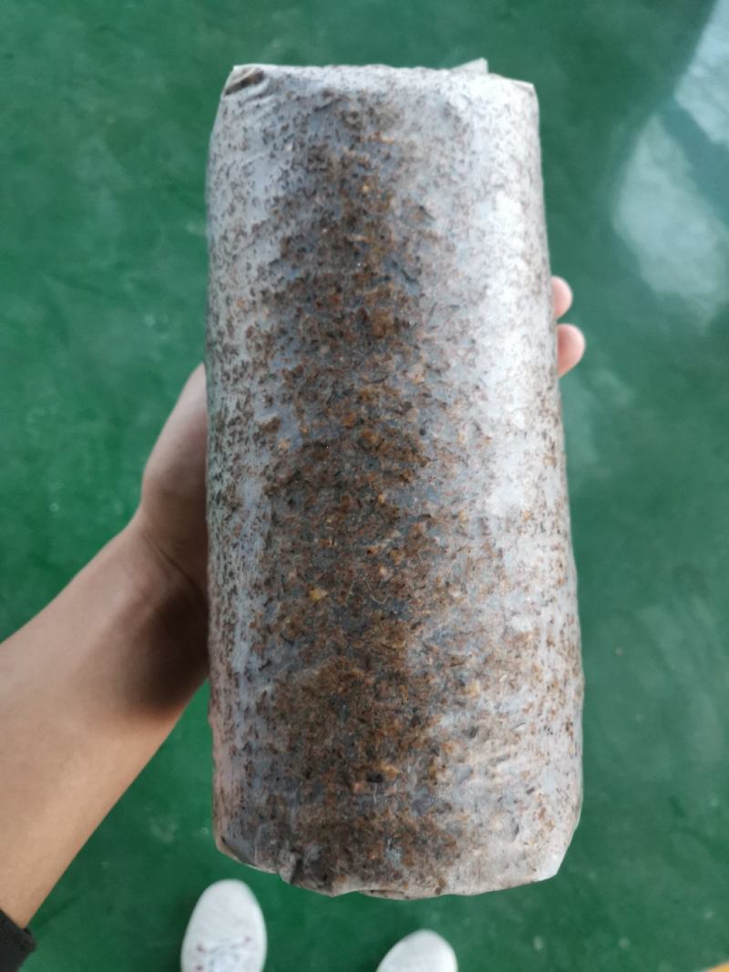 平菇菌包食用菌菌棒到家划口即出高产抗病抗虫优质菌棒