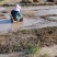 龙胆草老君须，赶黄草水洗产地发货自产自销货源新鲜一手货源