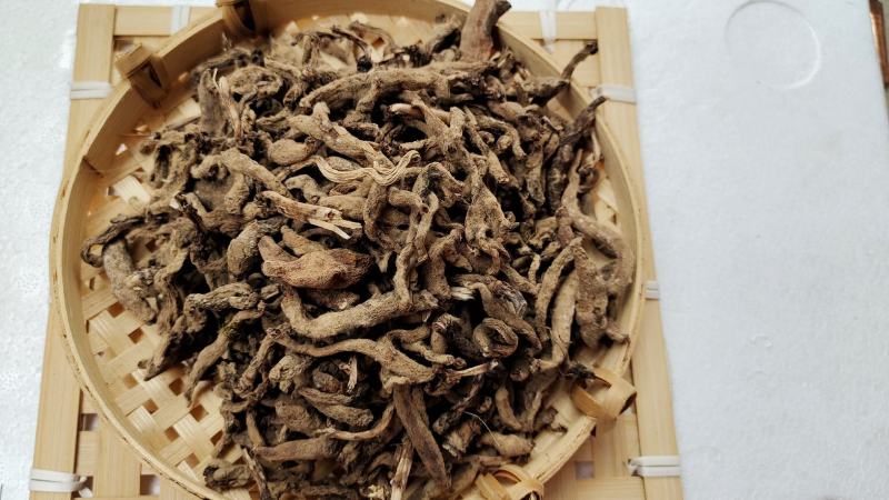 双肾草正品收购