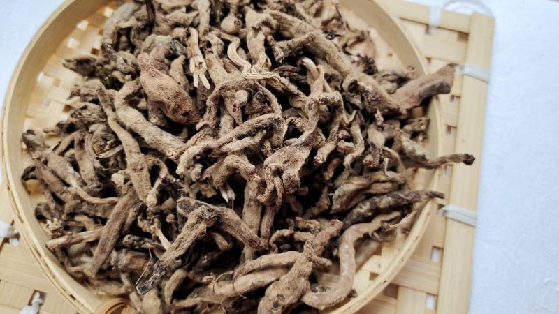 双肾草正品收购