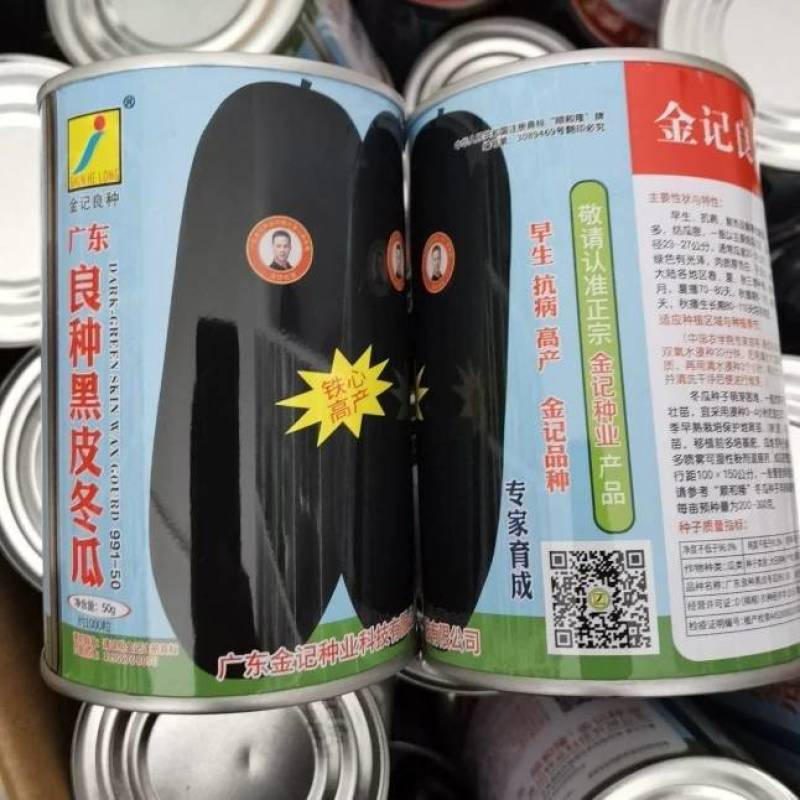 【高品质】广东黑皮大冬瓜种子特大高产铁心实心耐热抗病