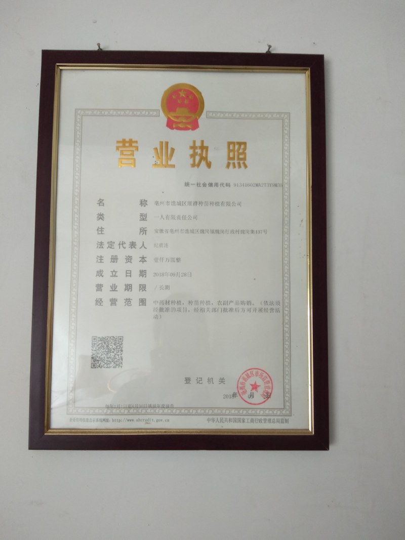 知母苗，小苗，中苗，大苗，，，，，，。。