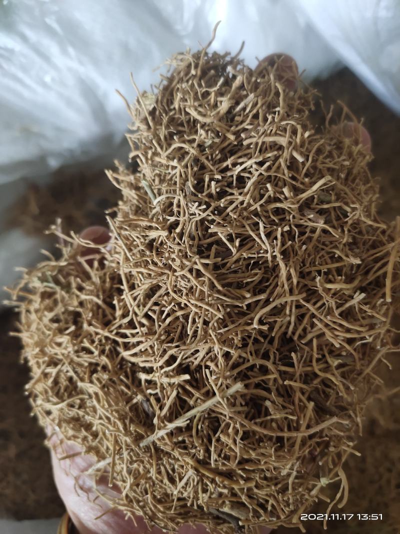 【文斌药业】徐长卿正品货纯根干净无杂质地道药材