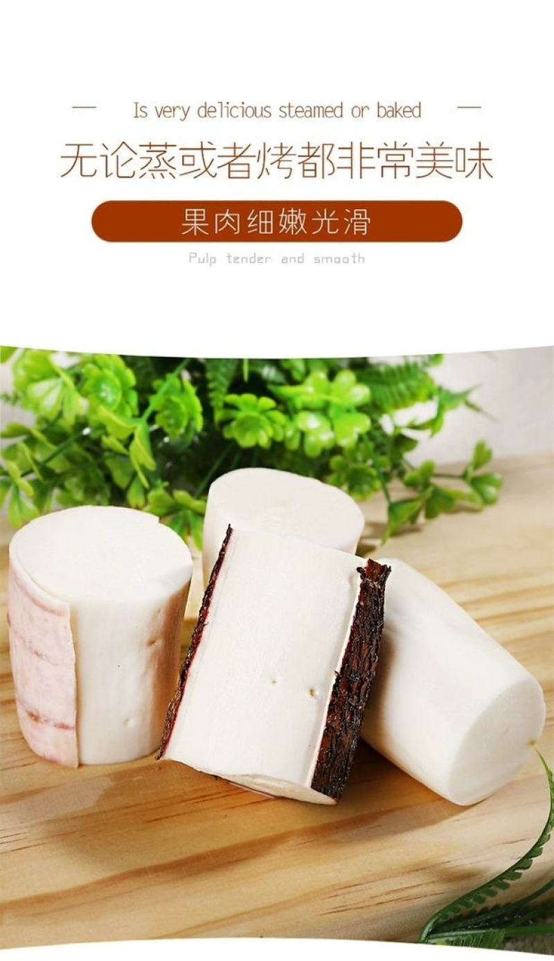 广西面包木薯新鲜香甜粉糯糖水现挖番薯粗粮甜品店可一件代发