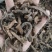 【文斌药业】骨碎补生骨碎补净货