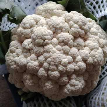 天门百万亩有机花西兰花种植基地大量供应菜花