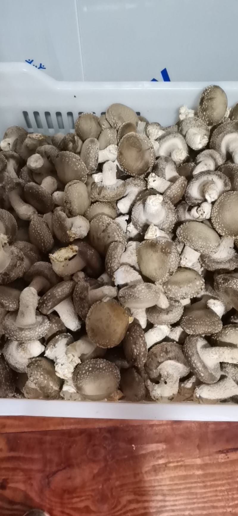 鲜香菇