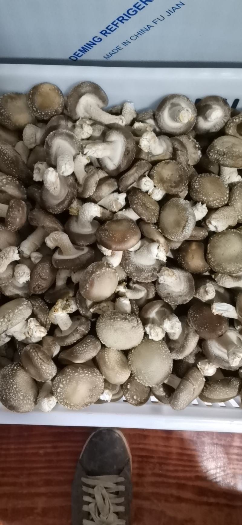 鲜香菇