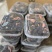 福建金线莲鲜品整株鲜品
