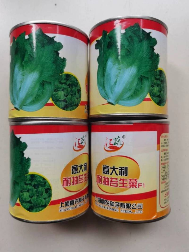 【高品质】意大利生菜种子高纯度高芽率耐热耐寒耐湿半结球