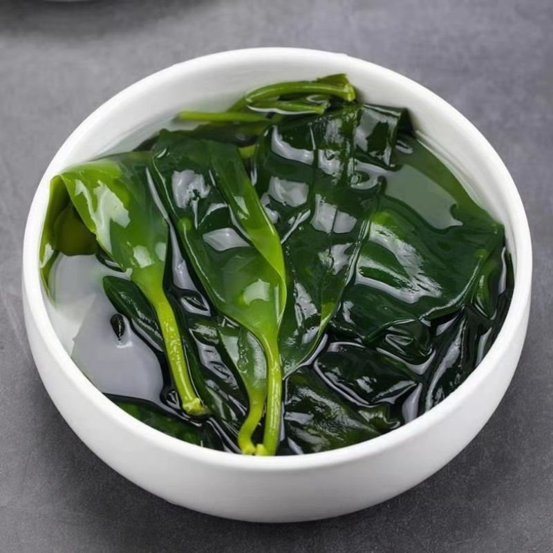 海带苗产地直发，货源充足，诚信经营，一手货源