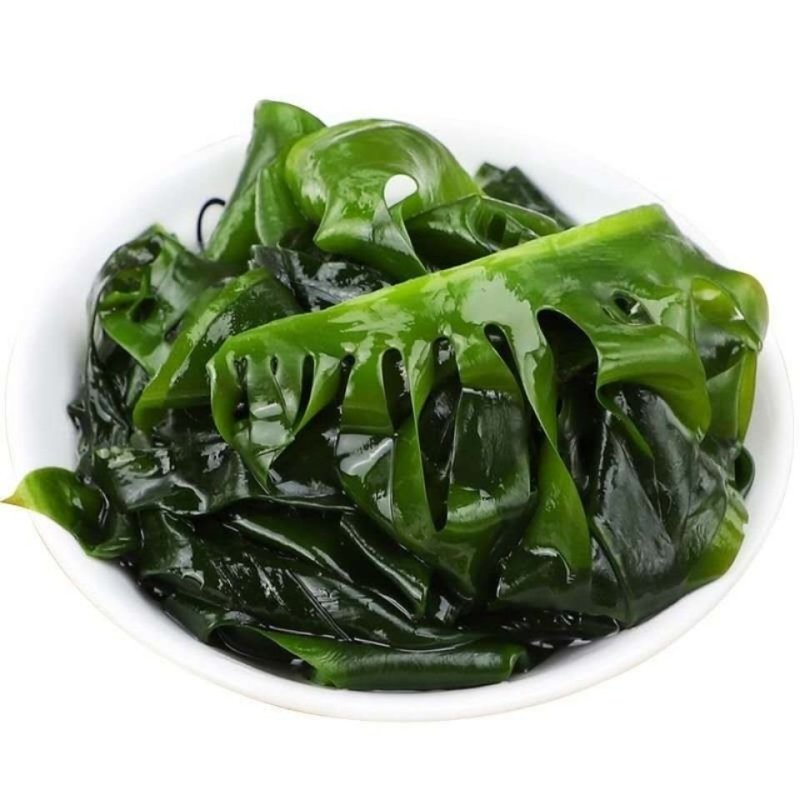 海带苗产地直发，货源充足，诚信经营，一手货源