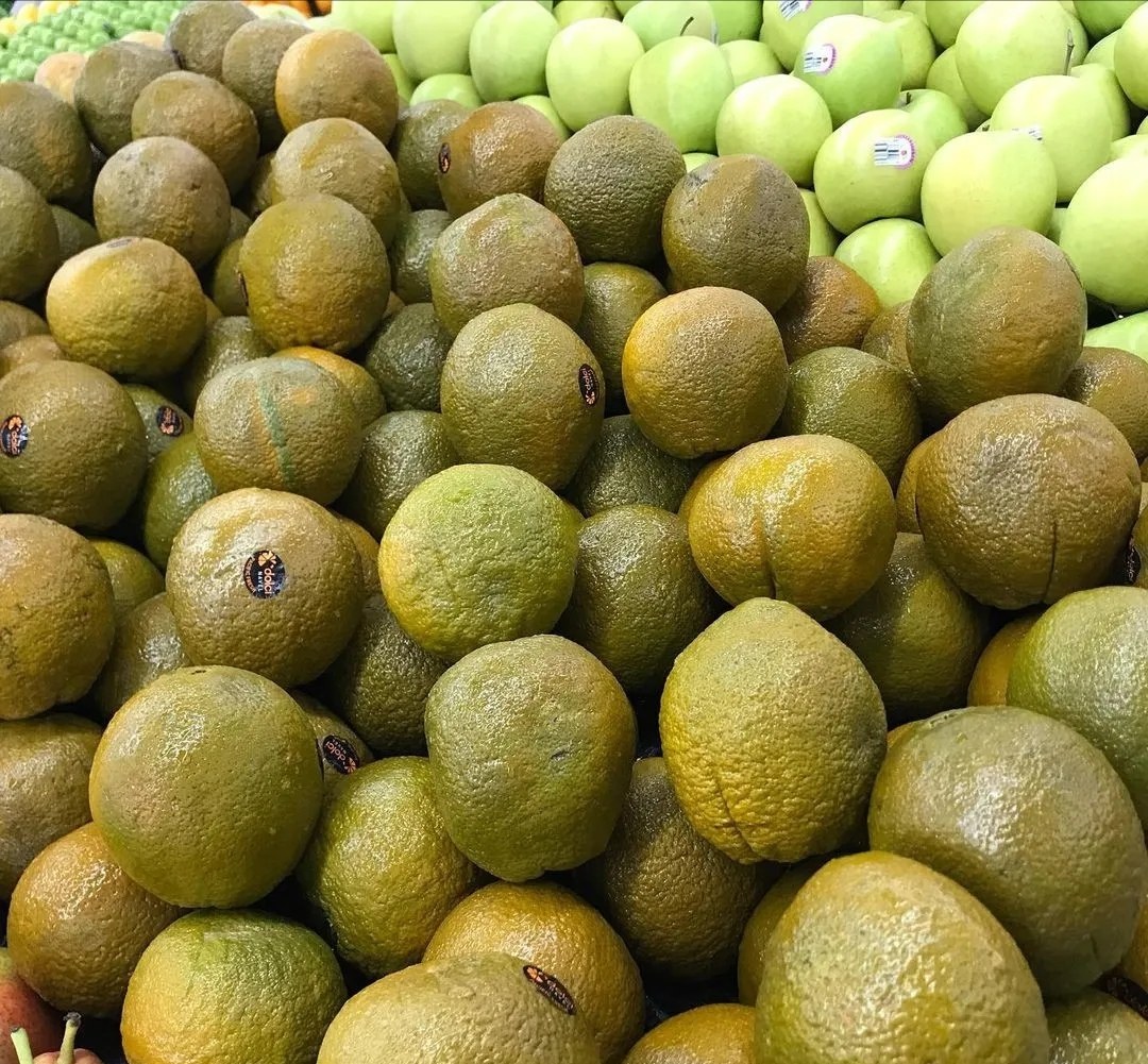 一堆正在发酵的柑桔叶堆肥,旁边散落着新鲜的柑桔叶,背景为果园环境 柑桔叶被用作堆肥原料