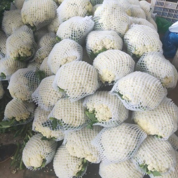 松花大量有货，物美价廉，另有多种蔬菜配车