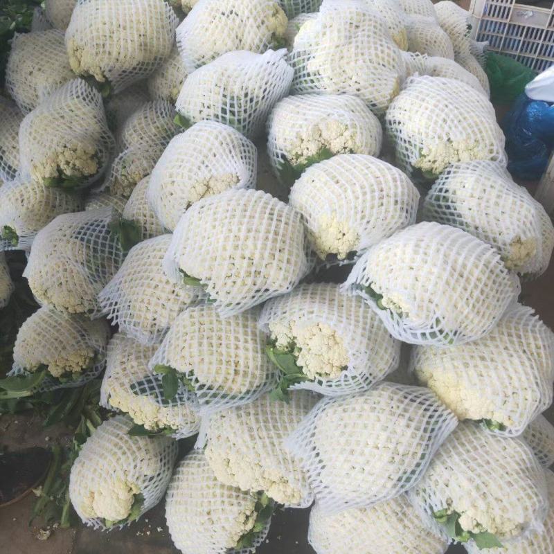 松花大量有货，物美价廉，另有多种蔬菜配车