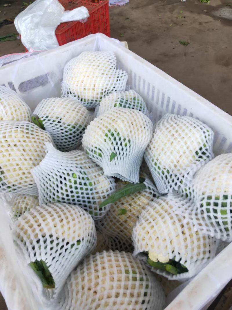 松花大量有货，物美价廉，另有多种蔬菜配车